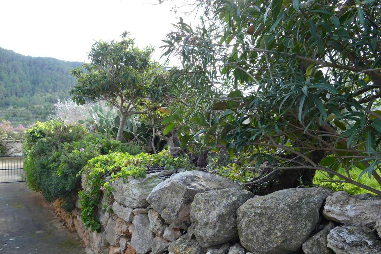 JÄHRLICHE / LANGFRISTIGE VERMIETUNG, traditionelle, klassische Finca in San Vicente, Ibiza, auf dem Land, in einer idyllischen Umgebung.