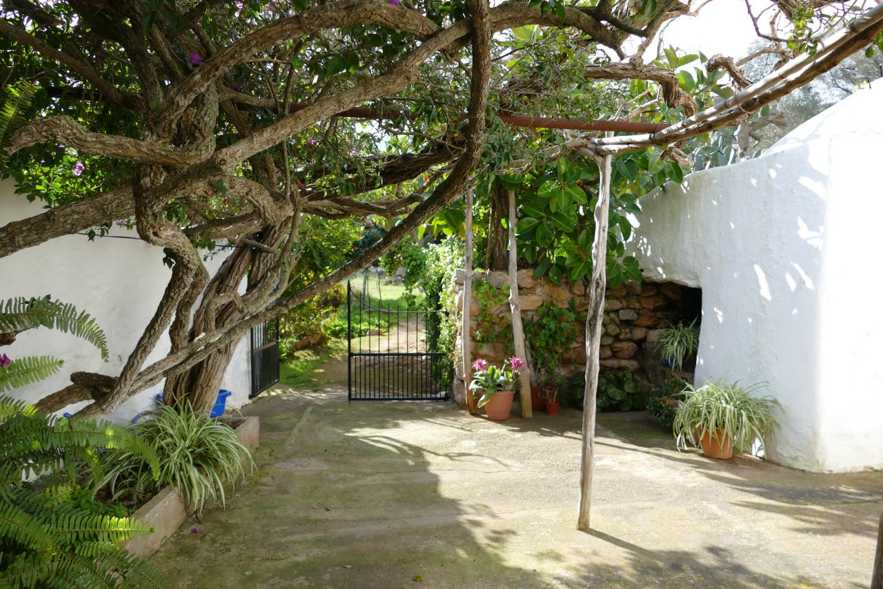 JÄHRLICHE / LANGFRISTIGE VERMIETUNG, traditionelle, klassische Finca in San Vicente, Ibiza, auf dem Land, in einer idyllischen Umgebung.