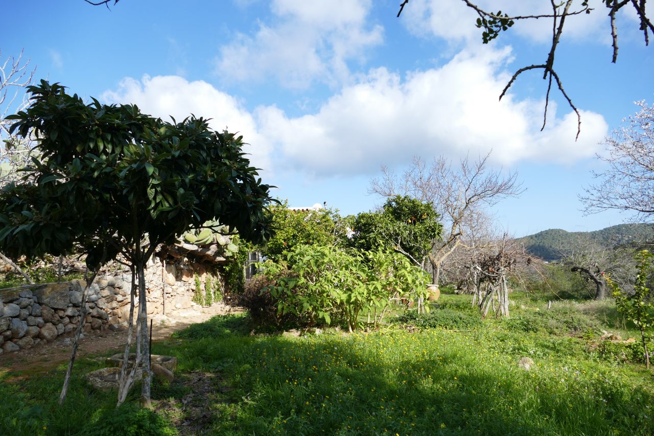 JÄHRLICHE / LANGFRISTIGE VERMIETUNG, traditionelle, klassische Finca in San Vicente, Ibiza, auf dem Land, in einer idyllischen Umgebung.