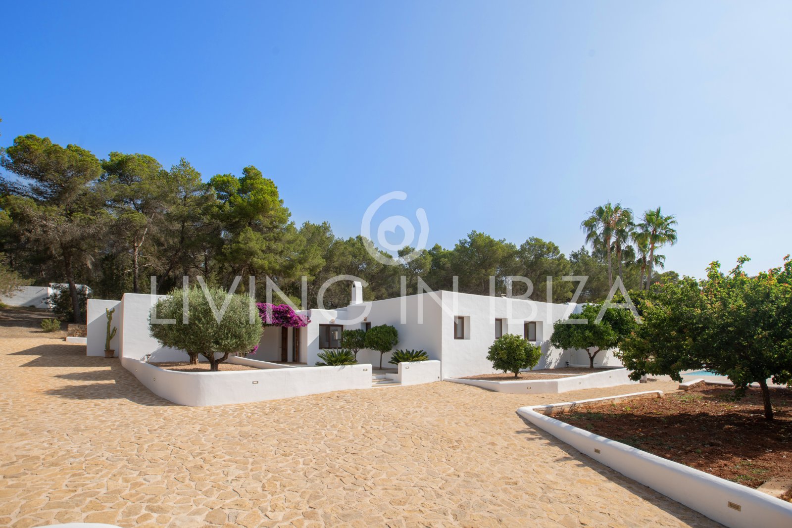 Santa Gertrudis, San Lorenzo Jahresmiete, Komfortable Villa, komplett renoviert mit Pool in ruhige Landlage auf Ibiza langfristig zu vermieten