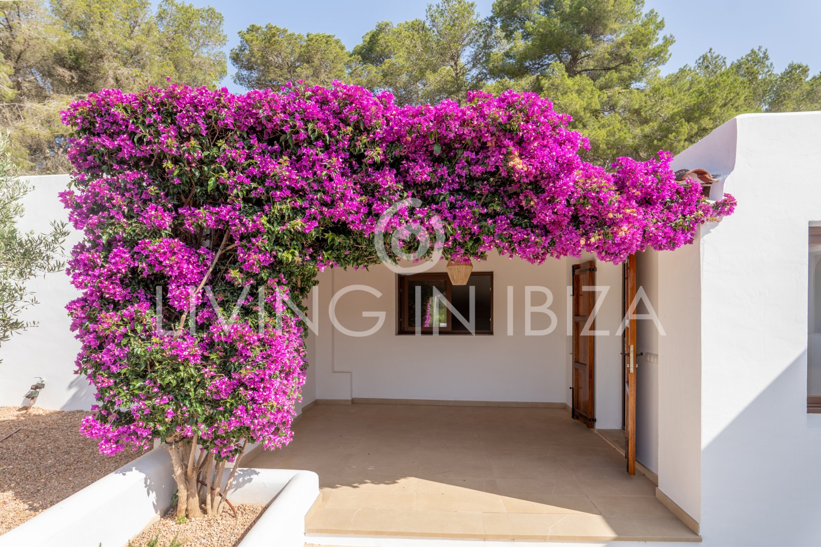 Santa Gertrudis, San Lorenzo Jahresmiete, Komfortable Villa, komplett renoviert mit Pool in ruhige Landlage auf Ibiza langfristig zu vermieten