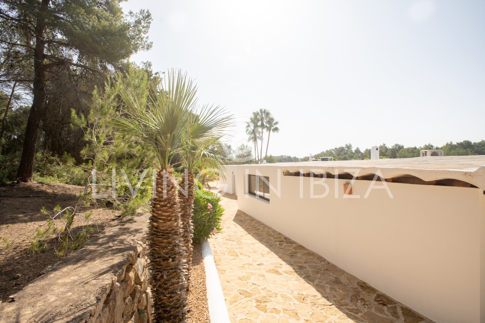 Santa Gertrudis, San Lorenzo Jahresmiete, Komfortable Villa, komplett renoviert mit Pool in ruhige Landlage auf Ibiza langfristig zu vermieten