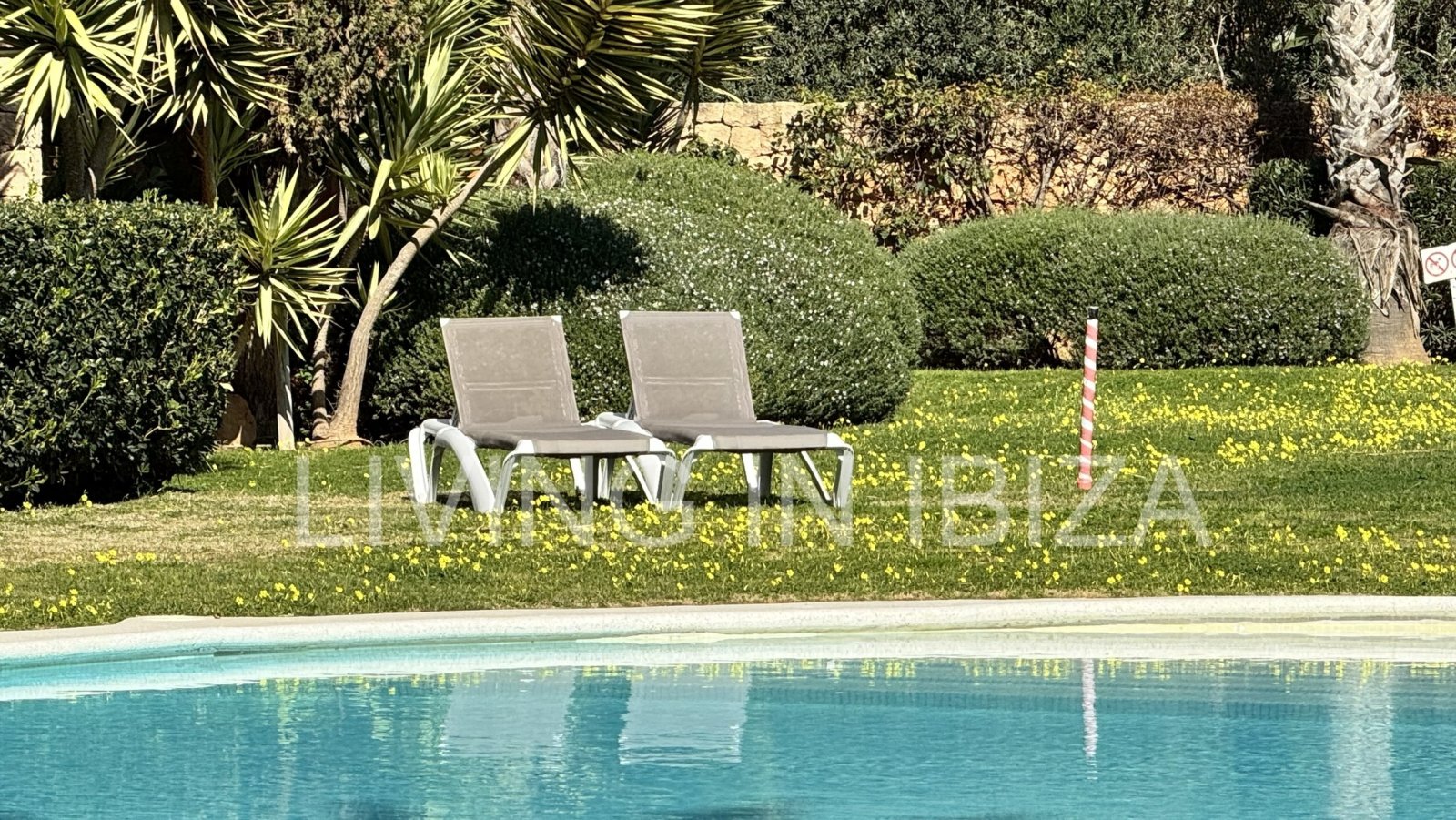 Zu verkaufen: Wohnung in Roca Llisa, Ibiza, mit großer Sonnenterrasse, zwei Schlafzimmern, Pool und Parkplatz.