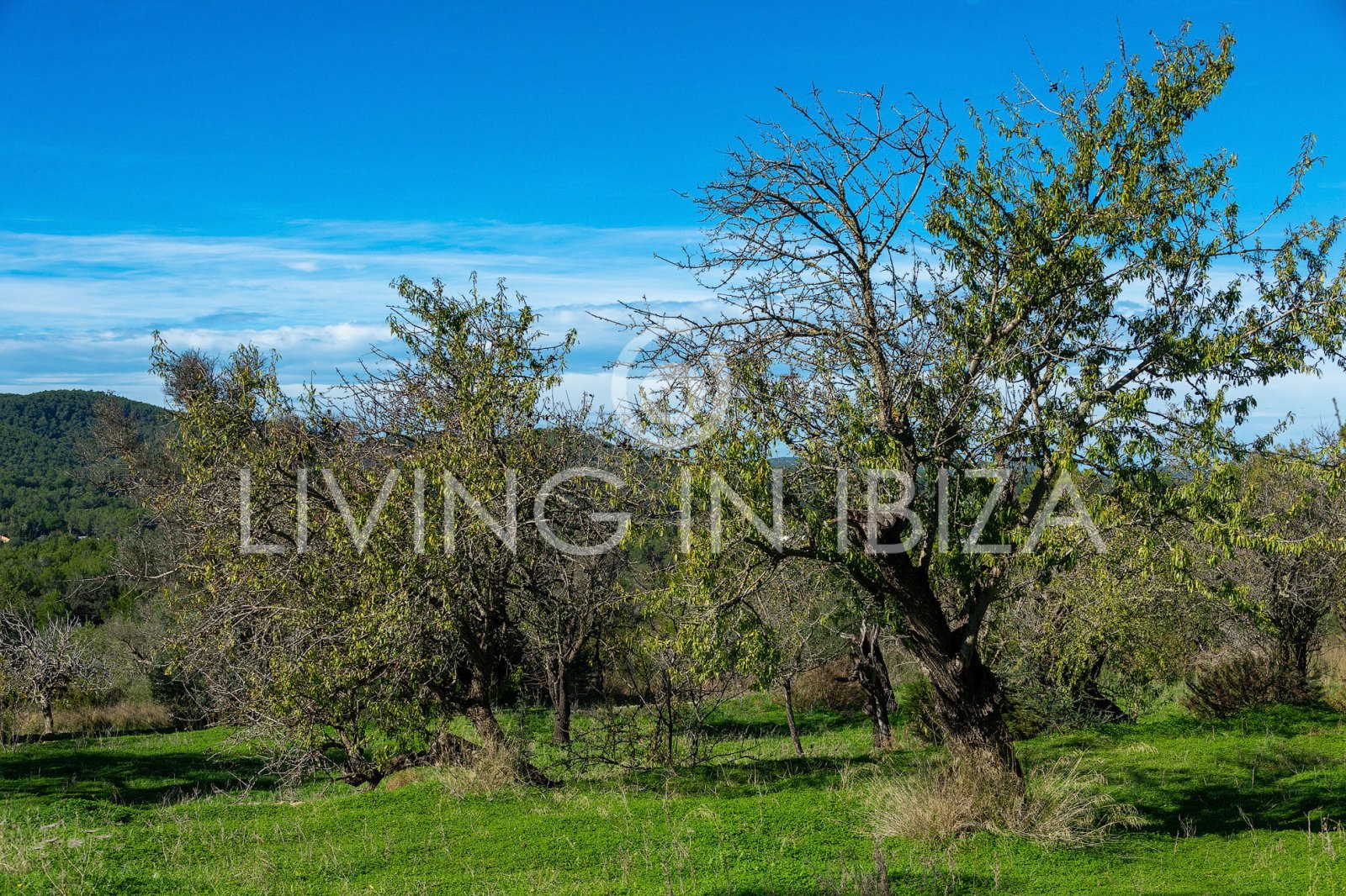 Langfristige Vermietung: Einzigartige ibizenkische Finca, vollständig renoviert, unmöbliert, mit beheizbarem Pool und Gästelounge in San Juan, Ibiza