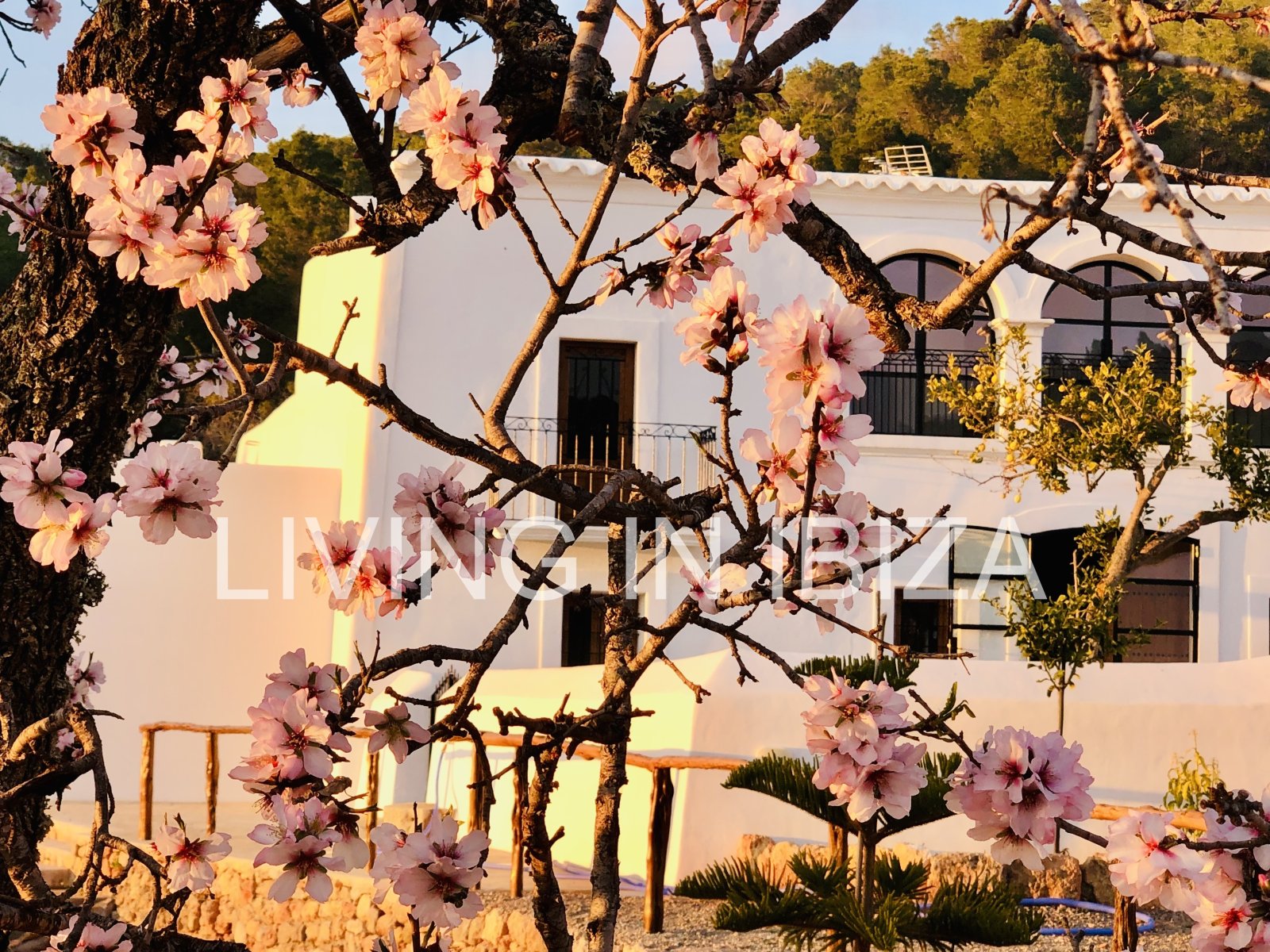 Langfristige Vermietung: Einzigartige ibizenkische Finca, vollständig renoviert, unmöbliert, mit beheizbarem Pool und Gästelounge in San Juan, Ibiza