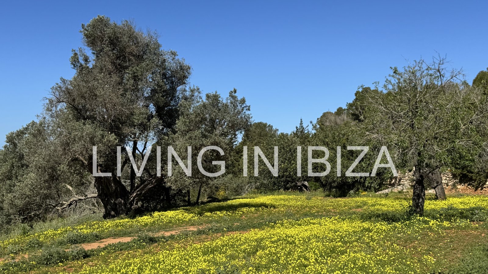Langfristige Vermietung: Einzigartige ibizenkische Finca, vollständig renoviert, unmöbliert, mit beheizbarem Pool und Gästelounge in San Juan, Ibiza