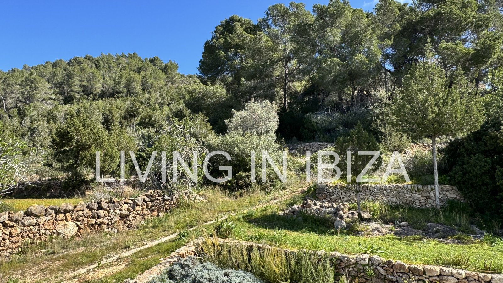 Langfristige Vermietung: Einzigartige ibizenkische Finca, vollständig renoviert, unmöbliert, mit beheizbarem Pool und Gästelounge in San Juan, Ibiza