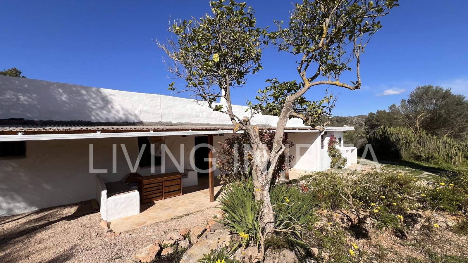 For yearly rental without furniture. An authentic country house in Santa Gertrudis, Ibiza. Enjoy the charm of living in the heart of nature