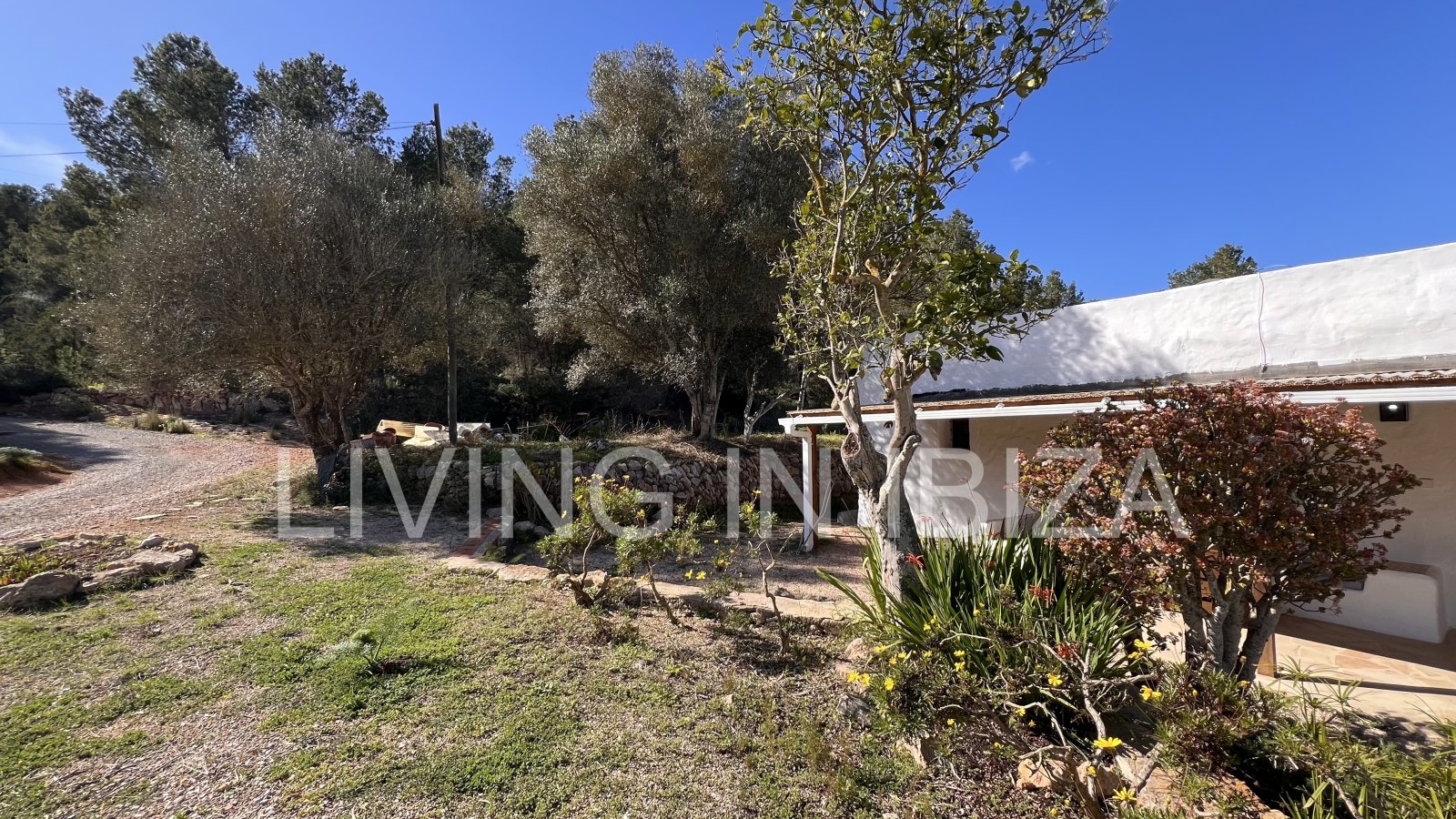 For yearly rental without furniture. An authentic country house in Santa Gertrudis, Ibiza. Enjoy the charm of living in the heart of nature