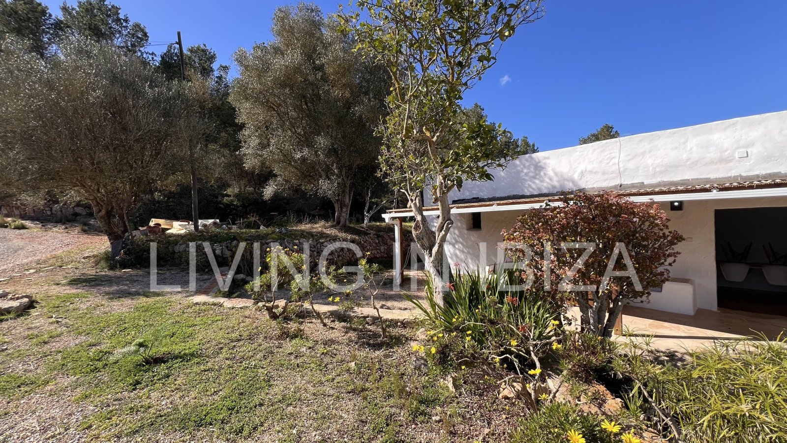 For yearly rental without furniture. An authentic country house in Santa Gertrudis, Ibiza. Enjoy the charm of living in the heart of nature