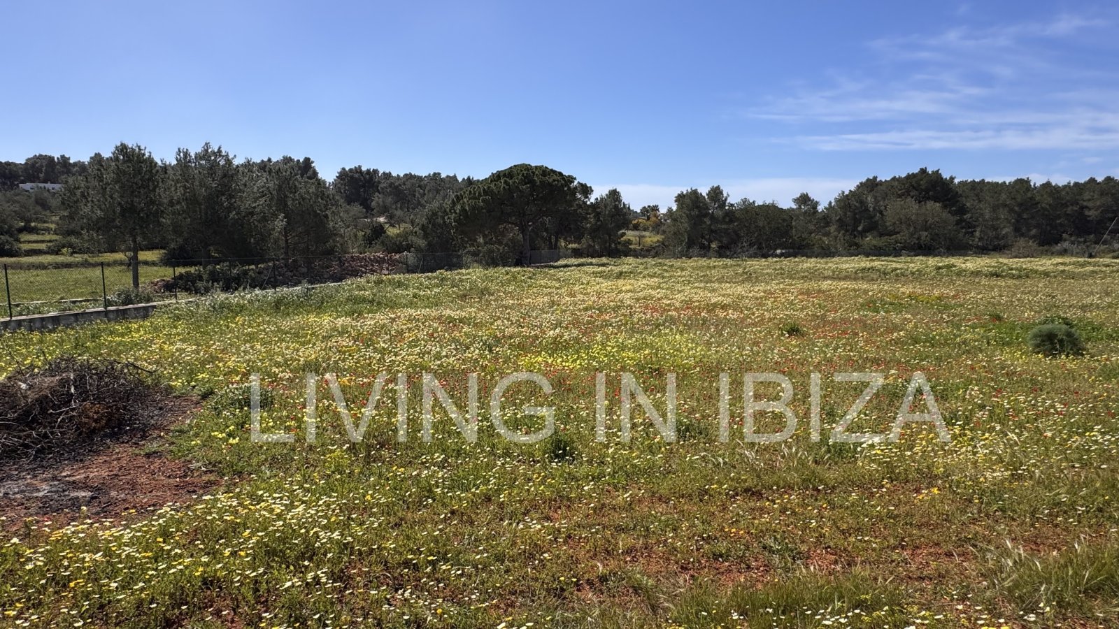 ANNUAL RENT. Yearly rent. Detached house 'Blumenfeld': located near San Carlos, in Santa Eulalia del Río (Ibiza), towards the Morna valley.