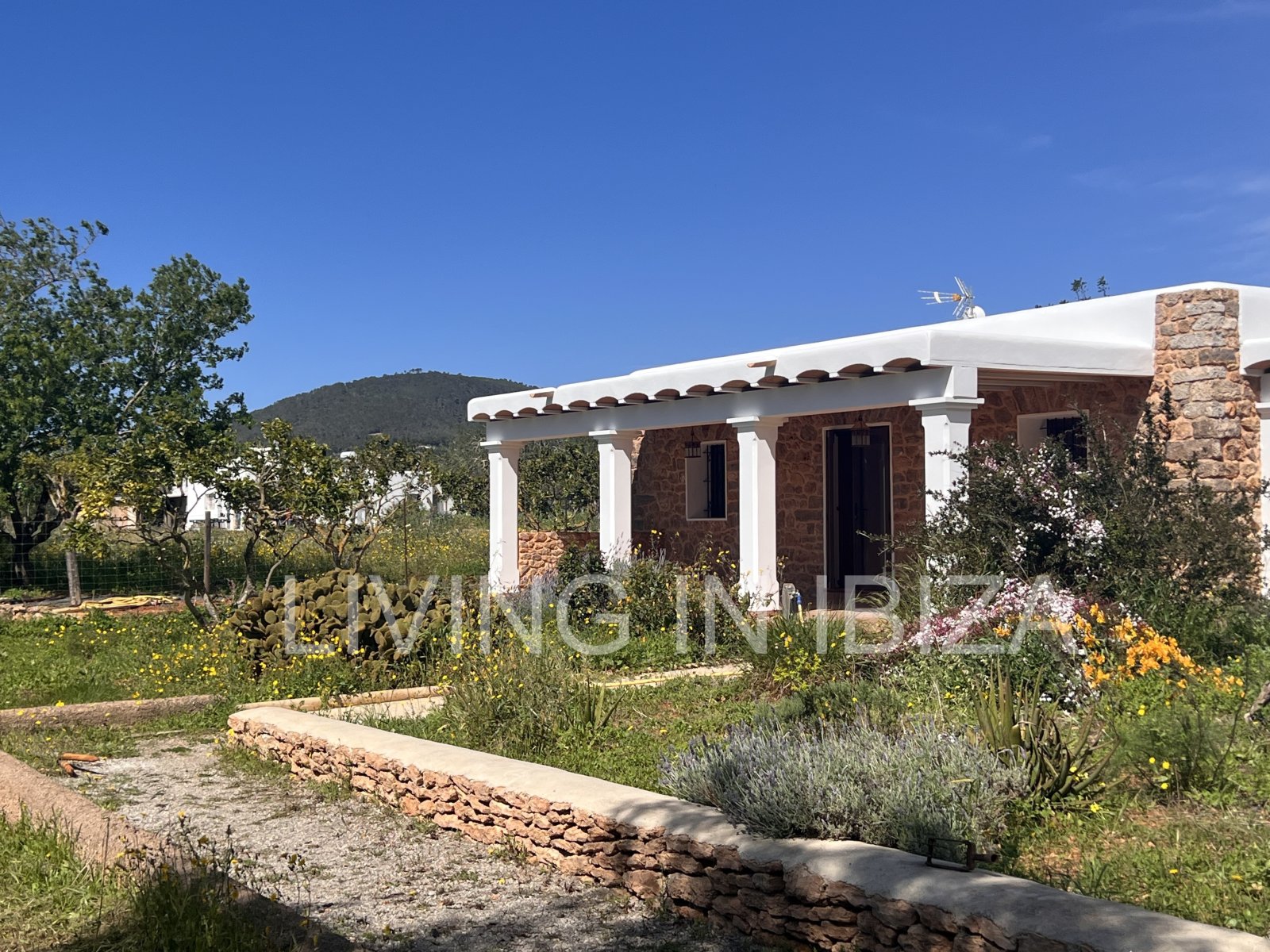ANNUAL RENT. Yearly rent. Detached house 'Blumenfeld': located near San Carlos, in Santa Eulalia del Río (Ibiza), towards the Morna valley.