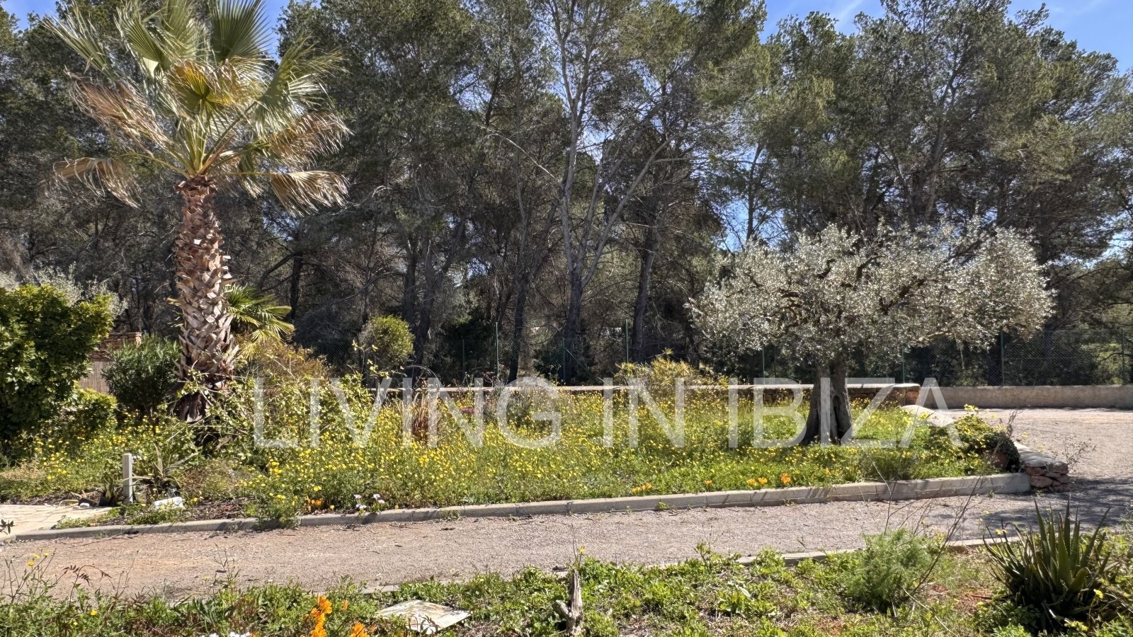 ANNUAL RENT. Yearly rent. Detached house 'Blumenfeld': located near San Carlos, in Santa Eulalia del Río (Ibiza), towards the Morna valley.