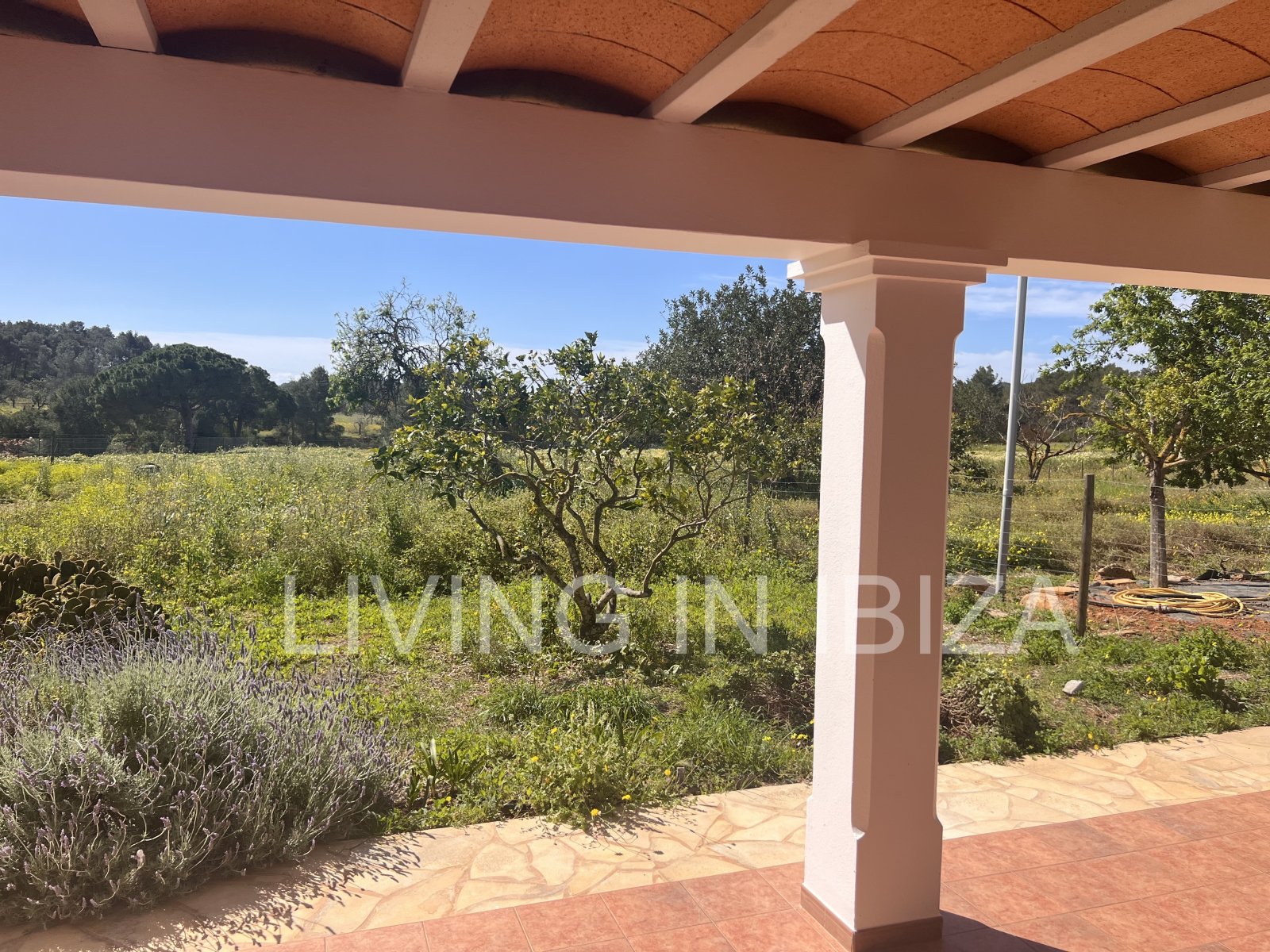 ANNUAL RENT. Yearly rent. Detached house 'Blumenfeld': located near San Carlos, in Santa Eulalia del Río (Ibiza), towards the Morna valley.