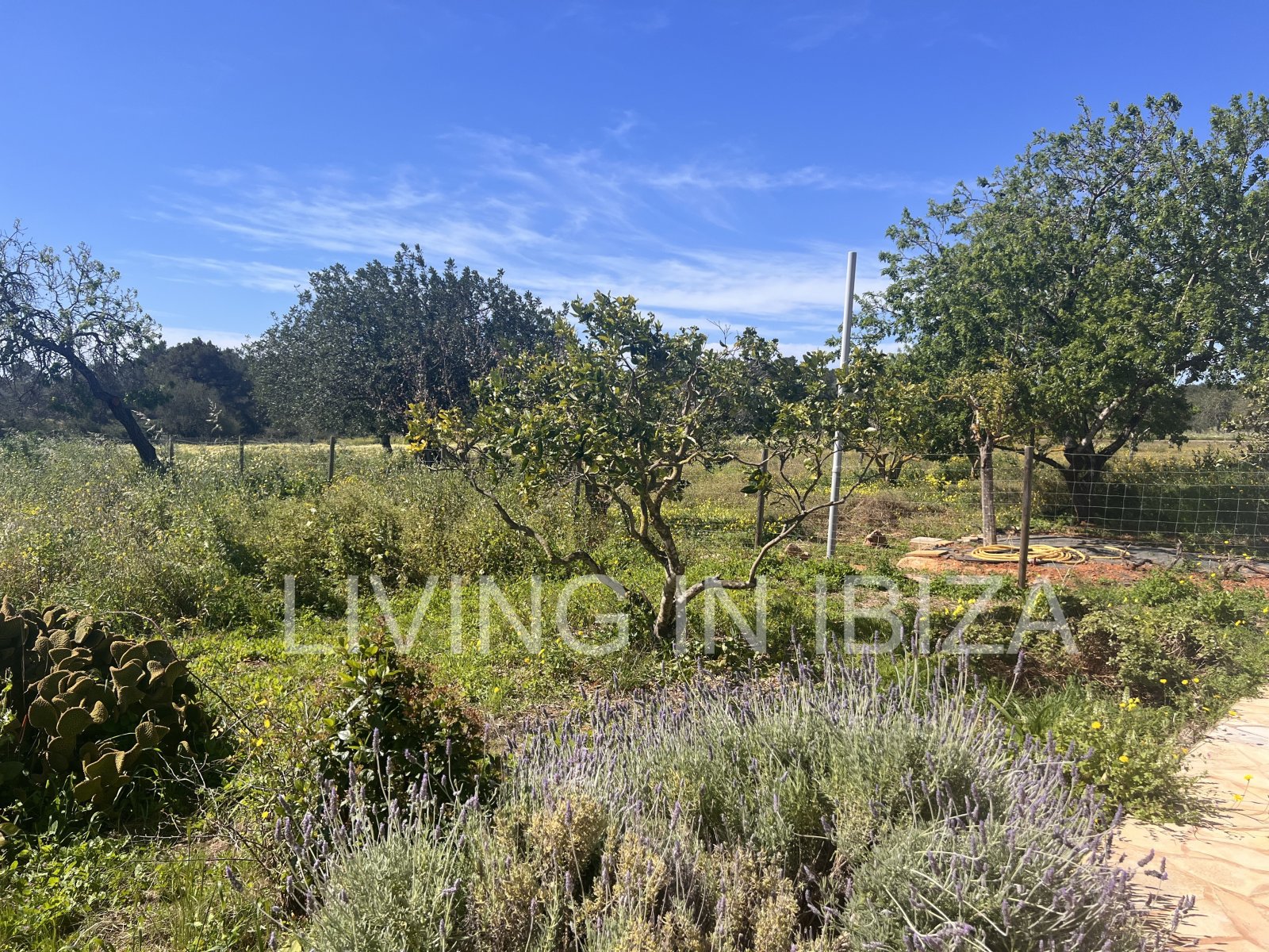 ANNUAL RENT. Yearly rent. Detached house 'Blumenfeld': located near San Carlos, in Santa Eulalia del Río (Ibiza), towards the Morna valley.