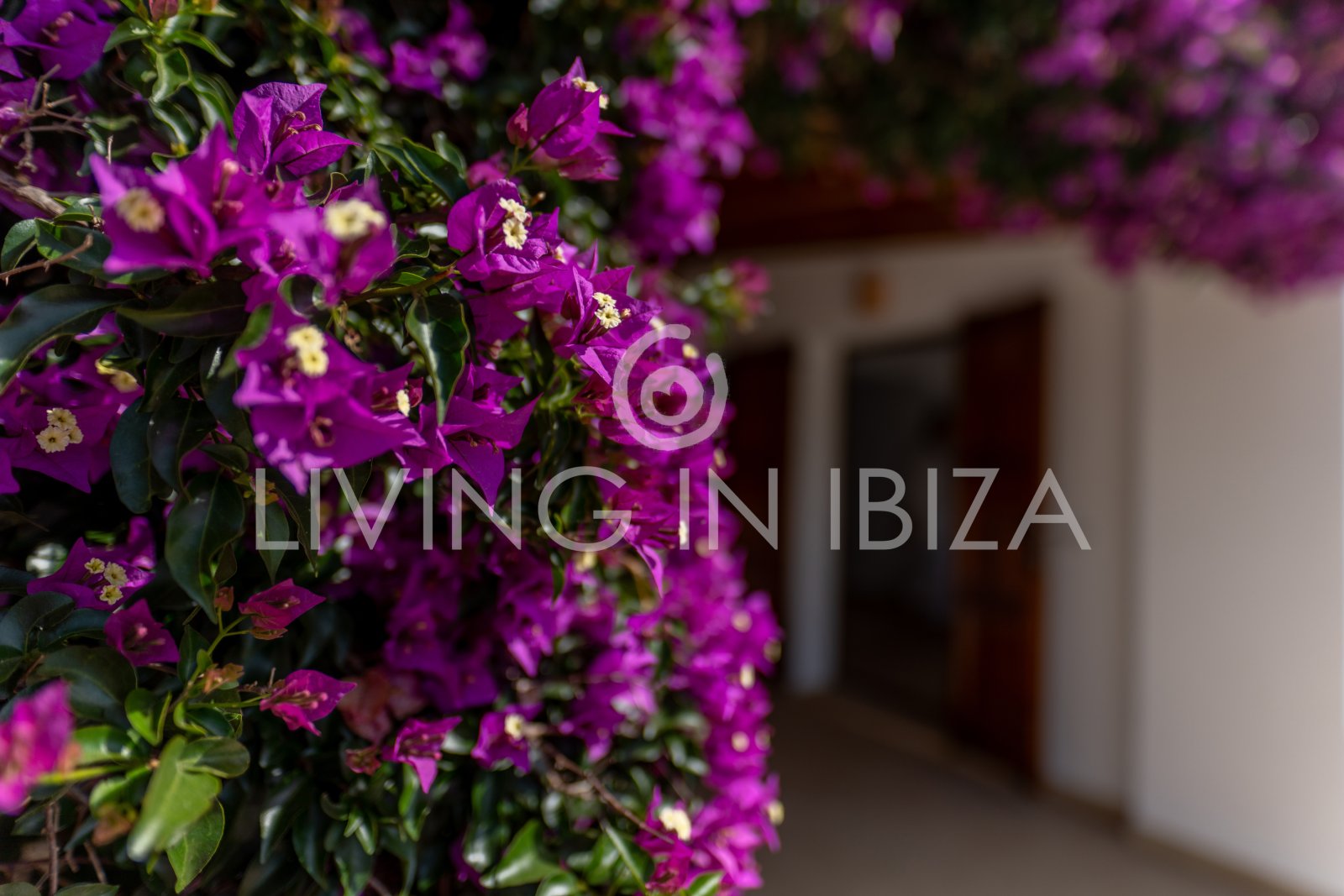 Santa Gertrudis, San Lorenzo long term rental annual rent comfortable villa with salt pool in Ibiza private rural area to let close to Morna College