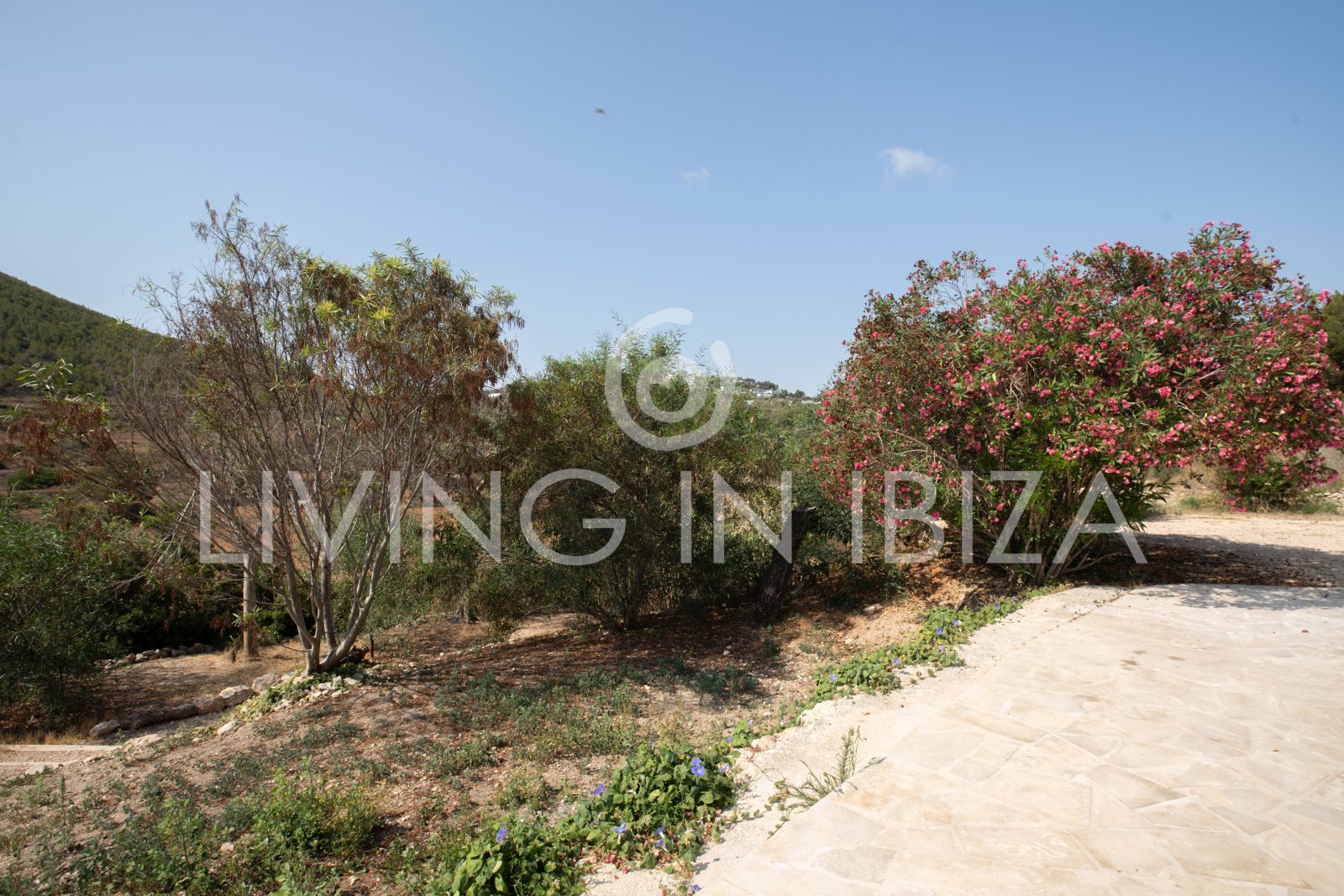 Typical Ibizan Finca in 2 floors with pool and no close neighbours for long term rental in Santa Eulalia del Rio, Ibiza.