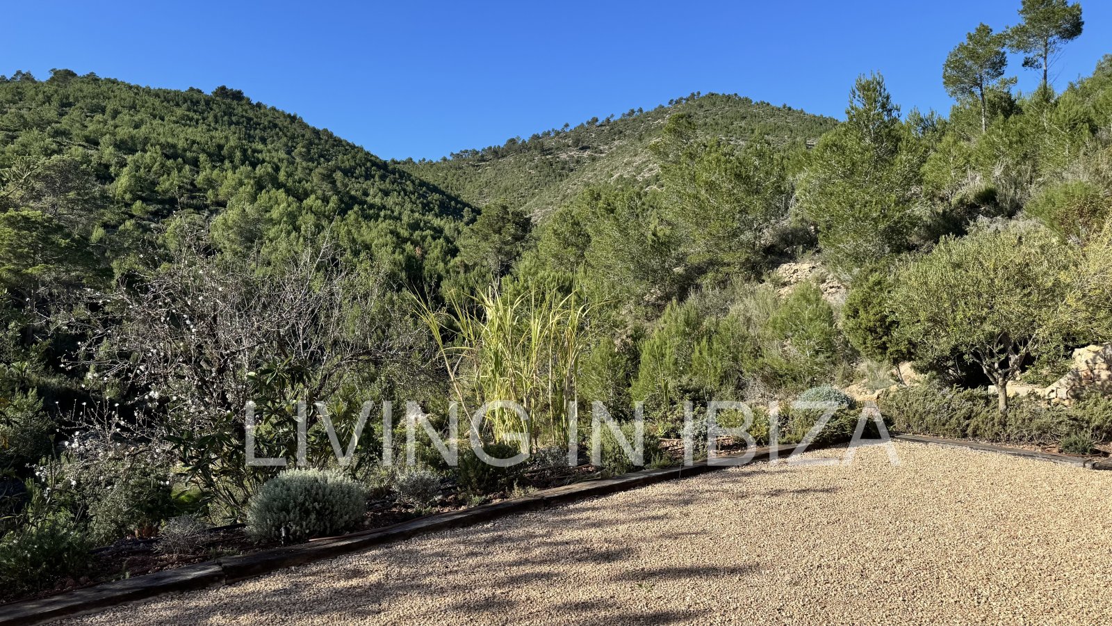 Exclusive, renovated antique ibizencan finca with saline swimming pool, central heating, isolated location, San Juan, Ibiza for long term rental