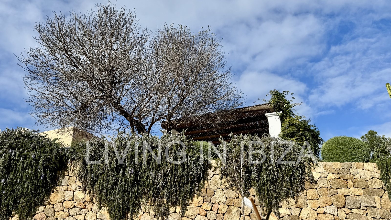 Exclusive, renovated antique ibizencan finca with saline swimming pool, central heating, isolated location, San Juan, Ibiza for long term rental