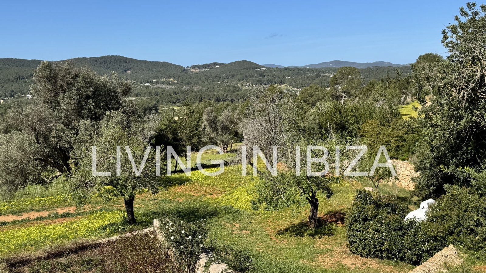 Long-term / annual rental: Unique Ibizan finca, fully renovated, unfurnished, heated swimming pool, annex with guest lounge in San Juan, Ibiza