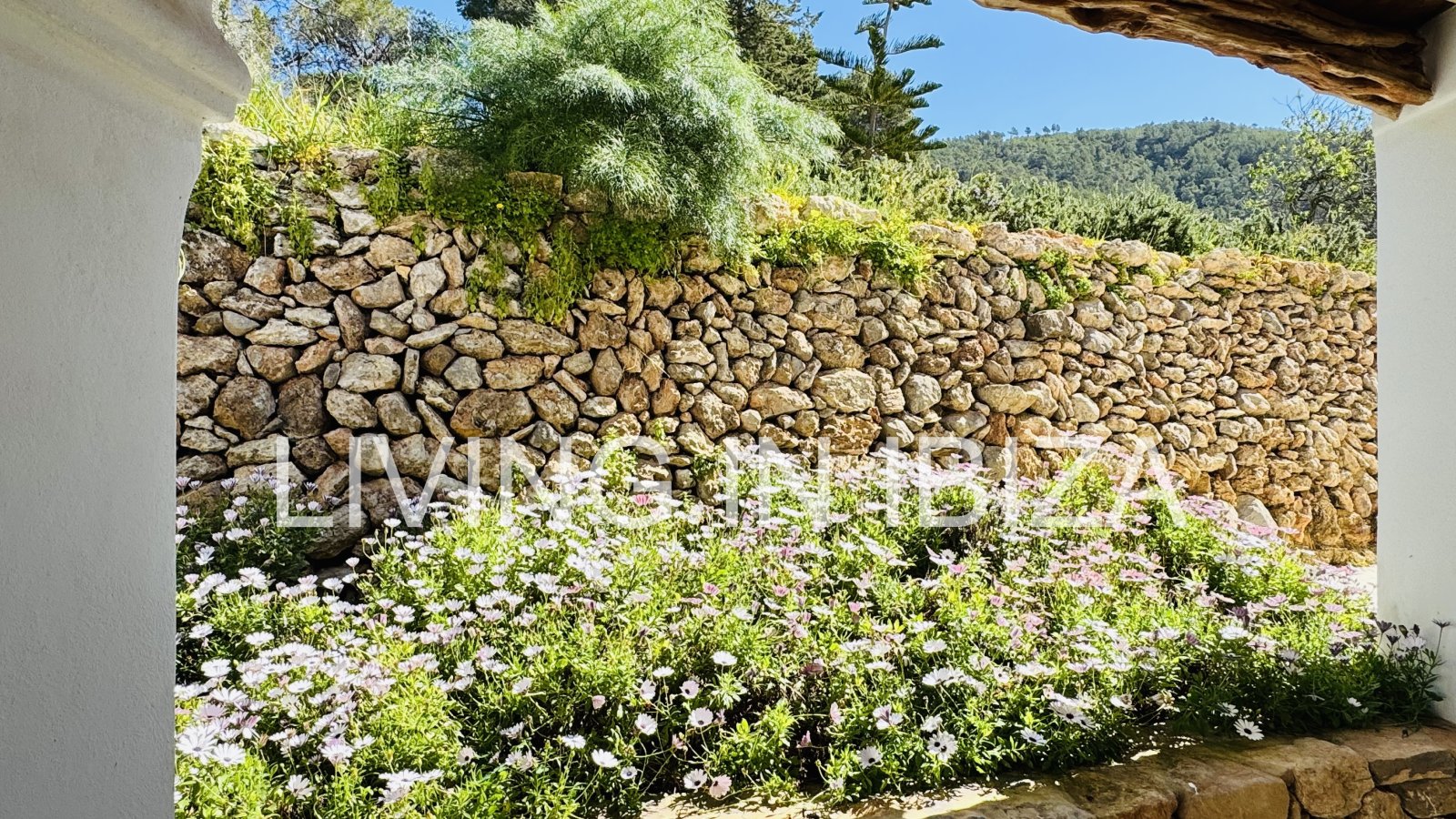 Long-term / annual rental: Unique Ibizan finca, fully renovated, unfurnished, heated swimming pool, annex with guest lounge in San Juan, Ibiza