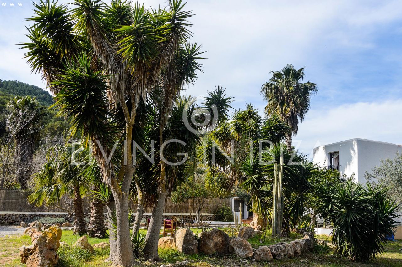 Se alquila / Contrato anual. Idílica finca ibicenca cerca de la playa en San Vicente. Ibiza