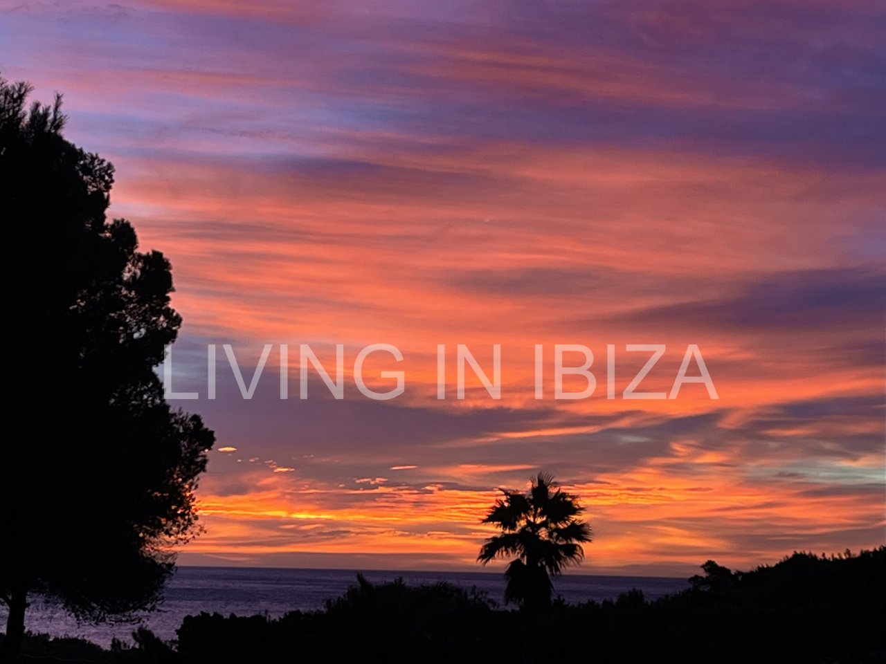 San Carlos: Impresionante piso de lujo en alquiler anual a unos 3 km de San Carlos, en la isla de Ibiza. 4 habitaciones, 3 baños, vistas al mar y chimenea. 