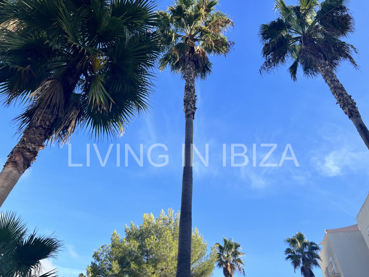 Impresionante piso de lujo en alquiler anual a unos 3 km de San Carlos, en la isla de Ibiza. 4 habitaciones, 3 baños, vistas al mar y chimenea.