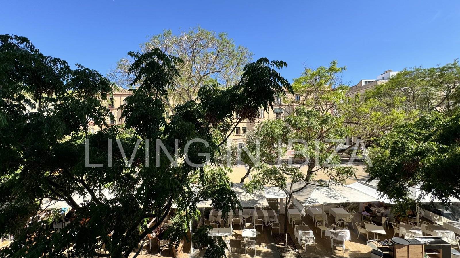 Alquiler larga temporada/contrato anual, piso antiguo recién reformado de aprox. 100 m2 con techos altos en el emblemático Paseo de Vara de Rey de Ibi