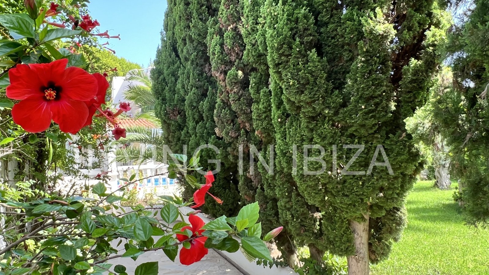 Villa Ibiza Sun, en alquiler a corto plazo. Esta atractiva y acogedora casa se encuentra en Cala Llenya, Ibiza, a pocos minutos a pie de la playa.