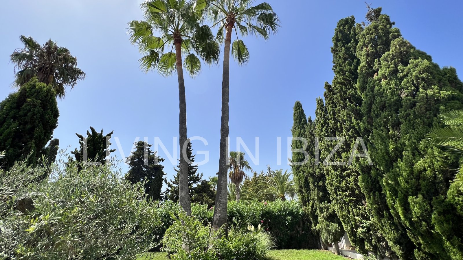 Villa Ibiza Sun, en alquiler a corto plazo. Esta atractiva y acogedora casa se encuentra en Cala Llenya, Ibiza, a pocos minutos a pie de la playa.