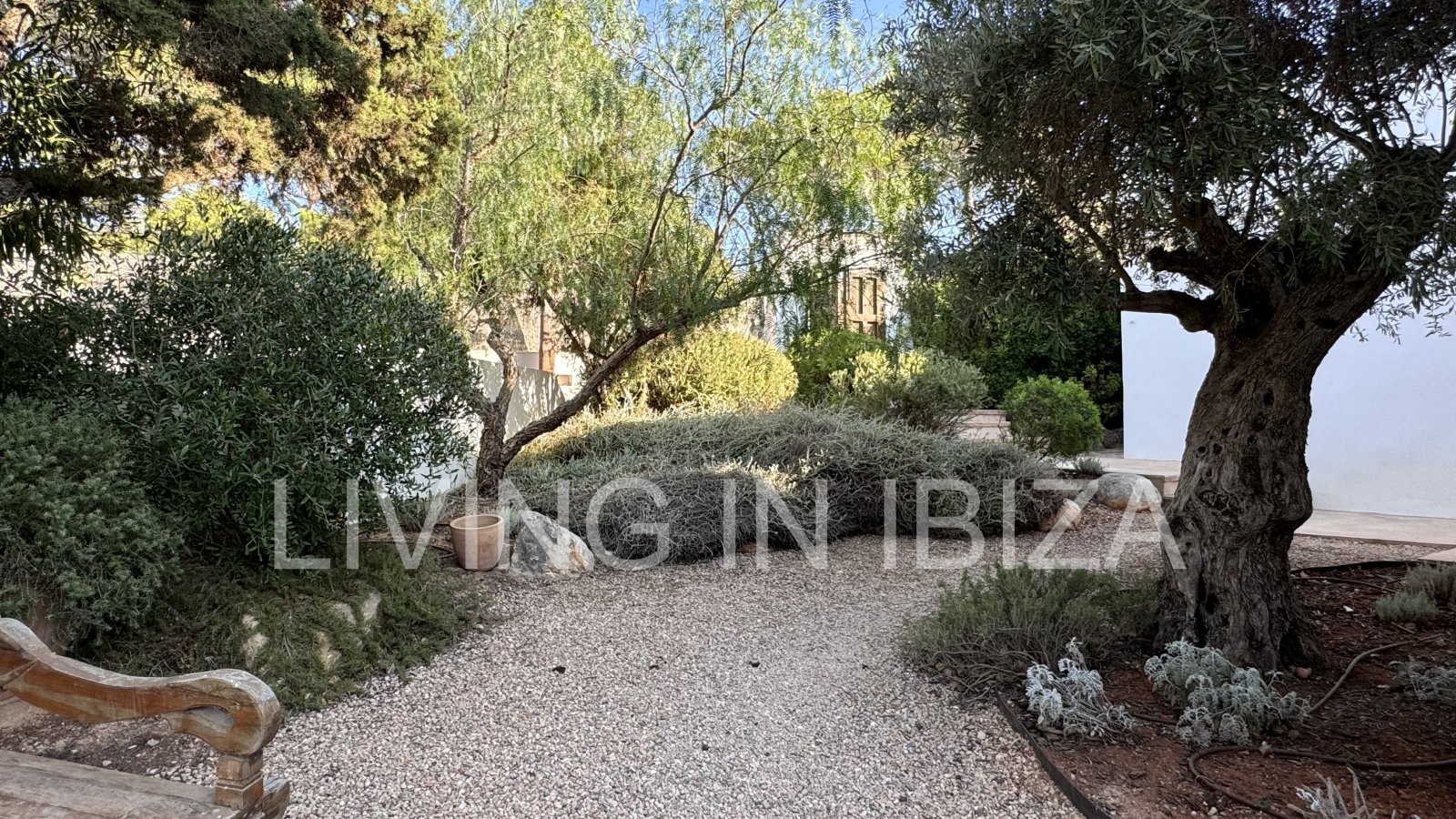 Alquiler larga temporada/alquiler anual. Finca totalmente reformada en la zona de Cala Conta, isla de Ibiza. Agradable privacidad