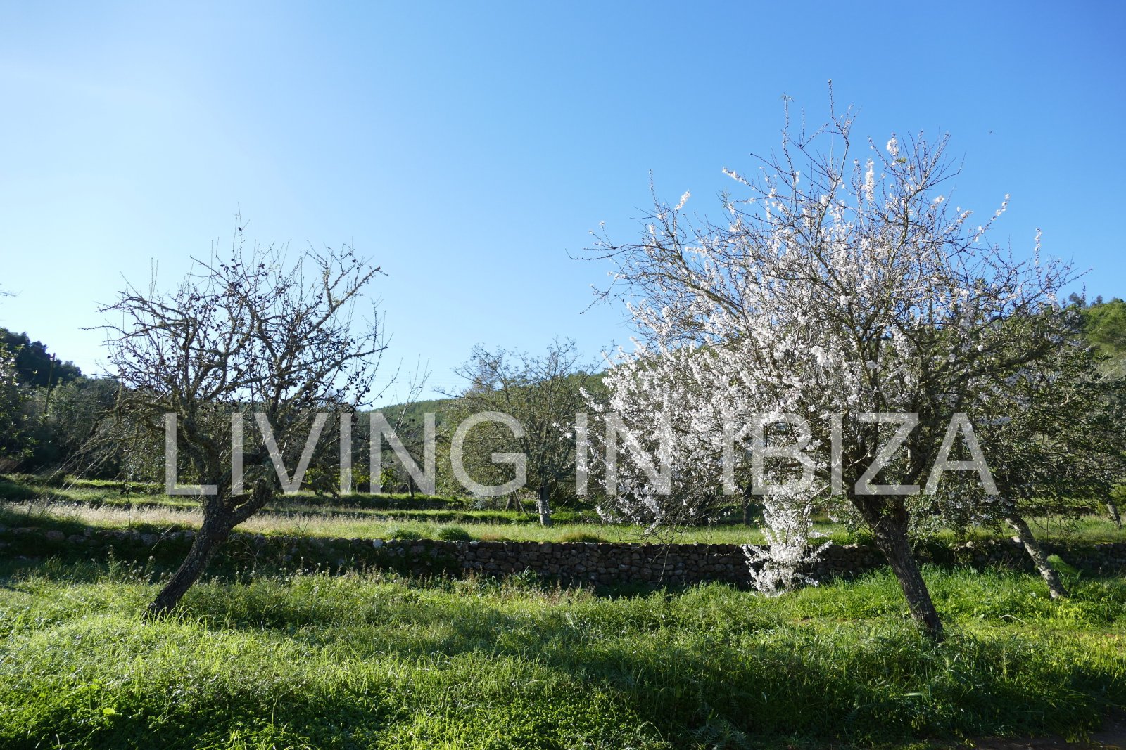 ALQUILER ANUAL/LARGO PLAZO, villa moderna sin amueblar, San Juan, Ibiza, piscina de sal, calefacción suelo radiante, 3 habitaciones, 3 baños 