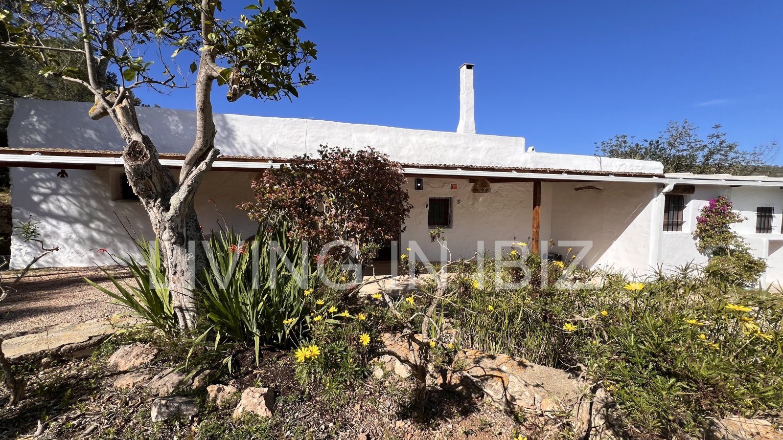 Se alquila anual en Santa Gertrudis, Ibiza.Casa Payesa con toques de actualidad, donde podrá disfrutar del encanto de vivir rodeado por la naturaleza.