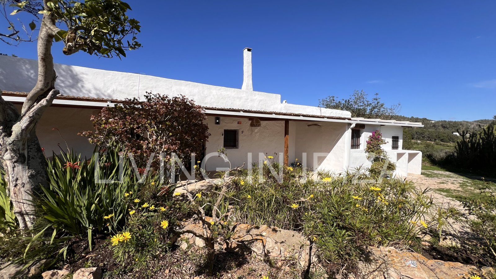 Se alquila anual en Santa Gertrudis, Ibiza.Casa Payesa con toques de actualidad, donde podrá disfrutar del encanto de vivir rodeado por la naturaleza.