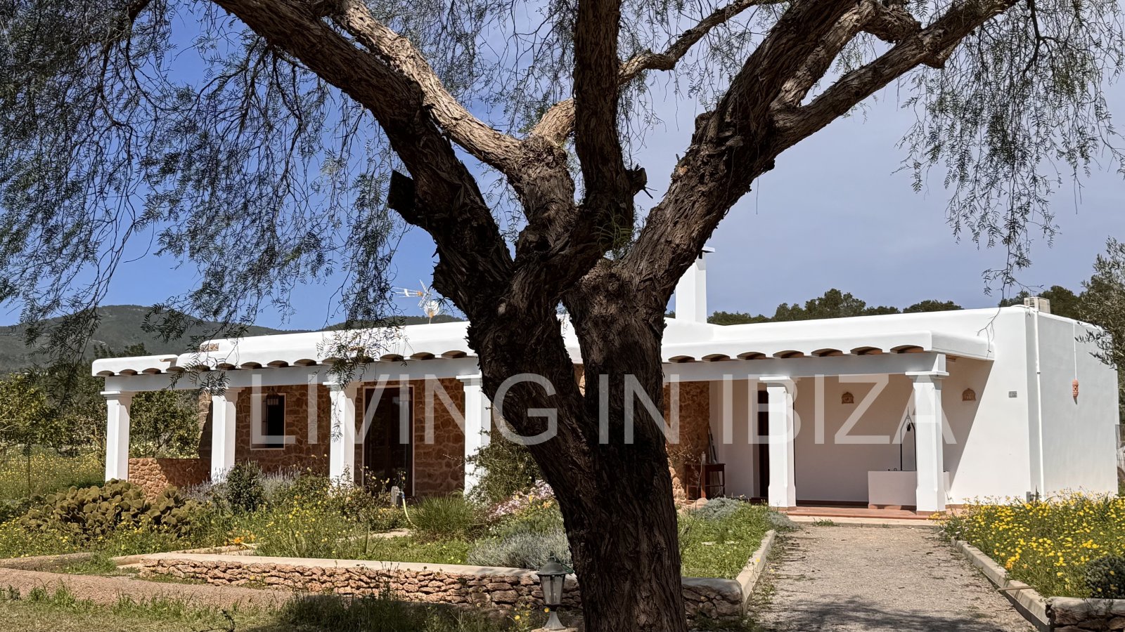 Se alquila anual. Casa independiente «Blumenfeld»: cerca de San Carlos, en Santa Eulalia del Río (Ibiza), en dirección del Valle de Morna. 