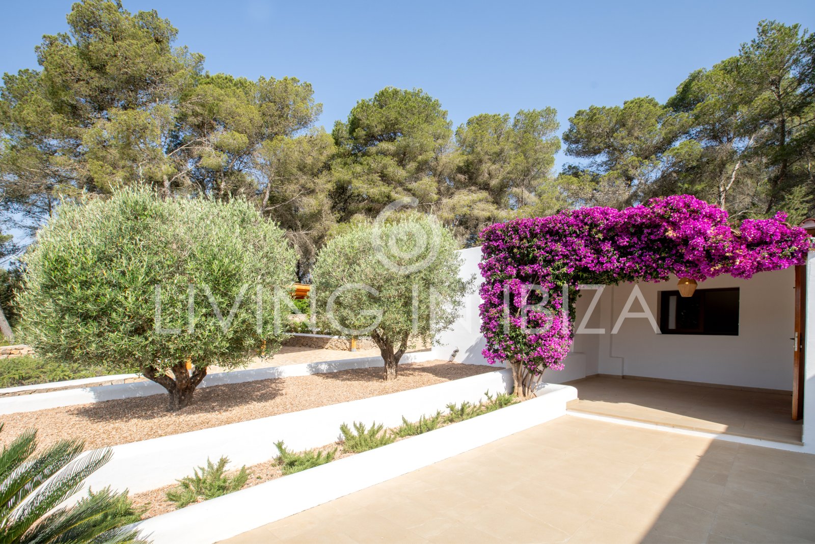Alquiler a largo plazo anual. Confortable villa renovada con piscina de sal, zona rural tranquila y privada de Santa Gertrudis y San Lorenzo Ibiza