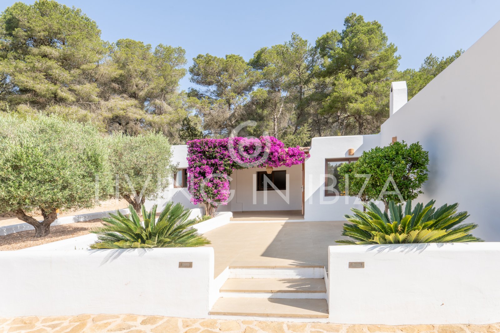 Alquiler a largo plazo anual. Confortable villa renovada con piscina de sal, zona rural tranquila y privada de Santa Gertrudis y San Lorenzo Ibiza