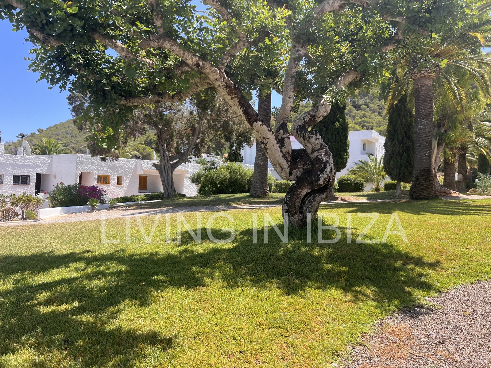 ALQUILER TEMPORAL Encantador apartamento situado en Siesta, Santa Eulalia del Río, en la zona este de la isla de Ibiza. Ofrece vistas espectaculares