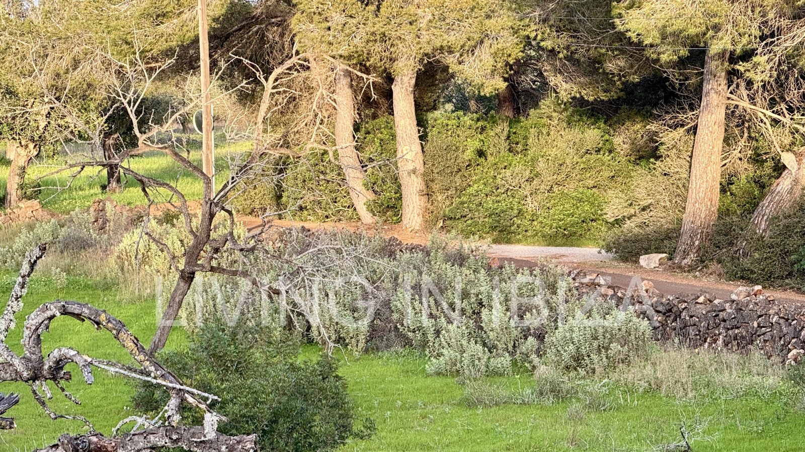 Se ofrece en alquiler anual este acogedor piso en primera planta situado en la tranquila zona de Cala Pada, en Santa Eulària des Riu. Ibiza