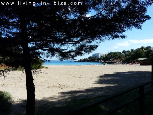 Ático de lujo en venta, gran terraza solarium, jacuzzi, 4 dormitorios, vistas al mar, garaje, lugar privilegiado en Cala Leña -Nova, acceso privado a playa